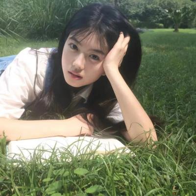威灵顿战线